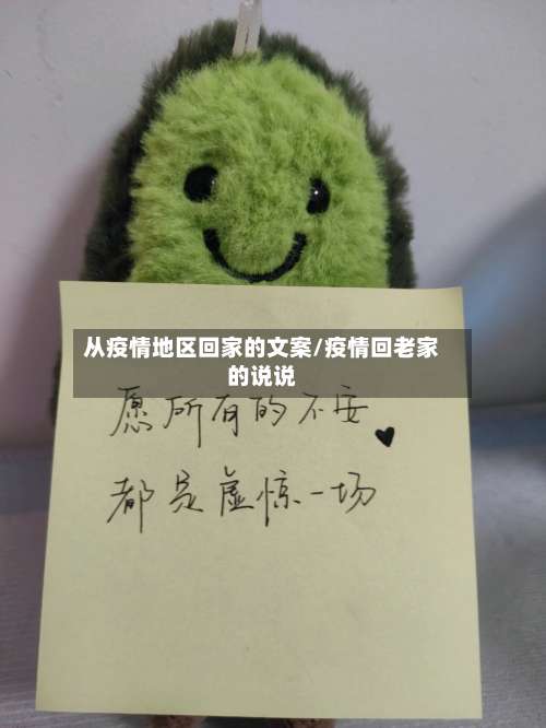 从疫情地区回家的文案/疫情回老家的说说-第2张图片