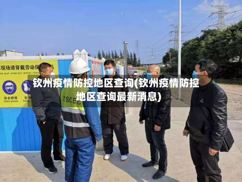 钦州疫情防控地区查询(钦州疫情防控地区查询最新消息)-第2张图片