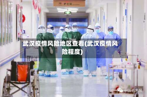 武汉疫情风险地区查看(武汉疫情风险程度)-第1张图片