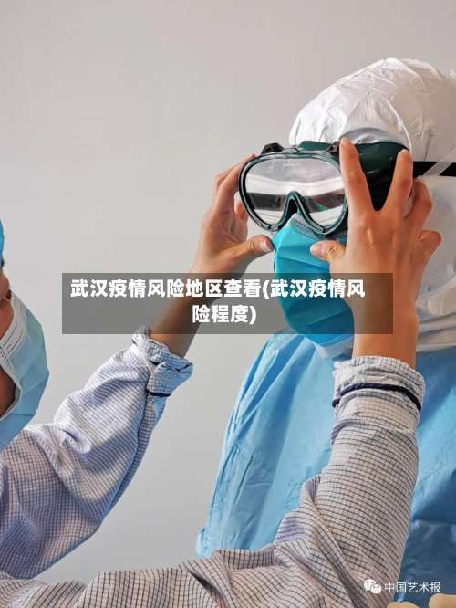 武汉疫情风险地区查看(武汉疫情风险程度)-第2张图片