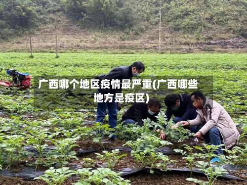 广西哪个地区疫情最严重(广西哪些地方是疫区)-第2张图片