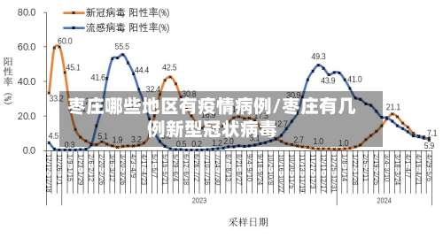 枣庄哪些地区有疫情病例/枣庄有几例新型冠状病毒-第1张图片