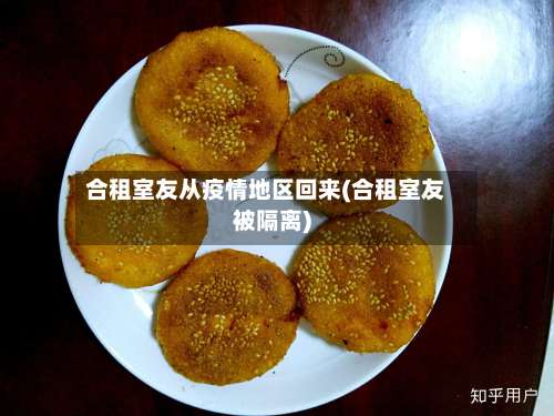 合租室友从疫情地区回来(合租室友被隔离)-第3张图片