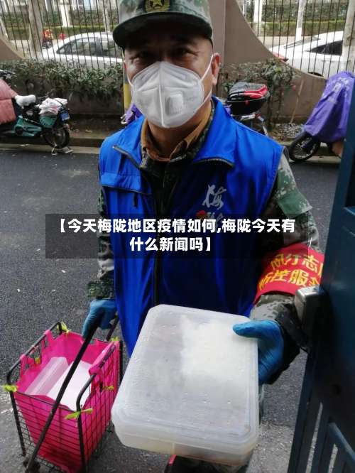 【今天梅陇地区疫情如何,梅陇今天有什么新闻吗】-第1张图片