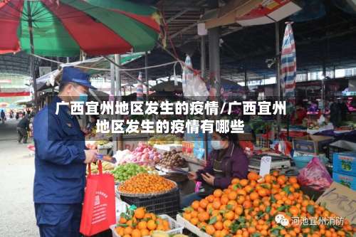 广西宜州地区发生的疫情/广西宜州地区发生的疫情有哪些-第2张图片