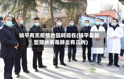 镇平有无疫情地区吗现在(镇平县新型冠状病毒肺炎有几例)-第1张图片