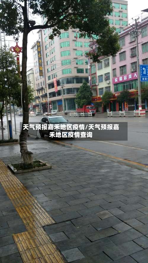 天气预报嘉禾地区疫情/天气预报嘉禾地区疫情查询-第2张图片
