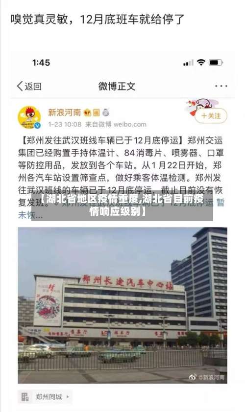 【湖北省地区疫情重度,湖北省目前疫情响应级别】-第2张图片