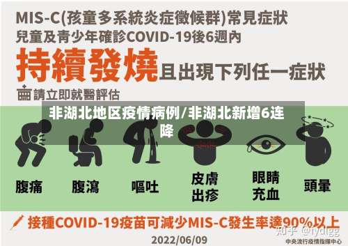 非湖北地区疫情病例/非湖北新增6连降-第3张图片