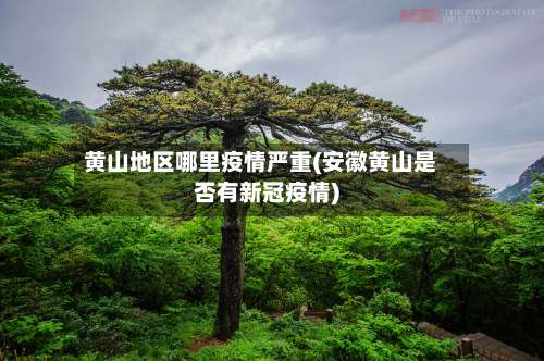 黄山地区哪里疫情严重(安徽黄山是否有新冠疫情)-第1张图片