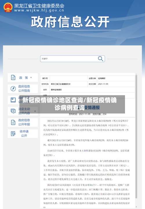 新冠疫情确诊地区查询/新冠疫情确诊病例查询-第3张图片
