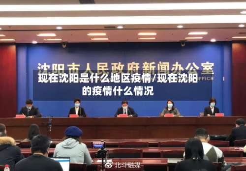 现在沈阳是什么地区疫情/现在沈阳的疫情什么情况-第1张图片