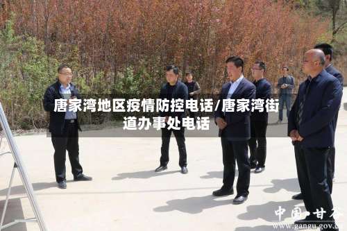 唐家湾地区疫情防控电话/唐家湾街道办事处电话-第1张图片