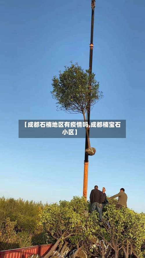 【成都石楠地区有疫情吗,成都楠宝石小区】-第1张图片