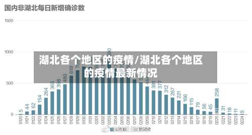 湖北各个地区的疫情/湖北各个地区的疫情最新情况-第2张图片