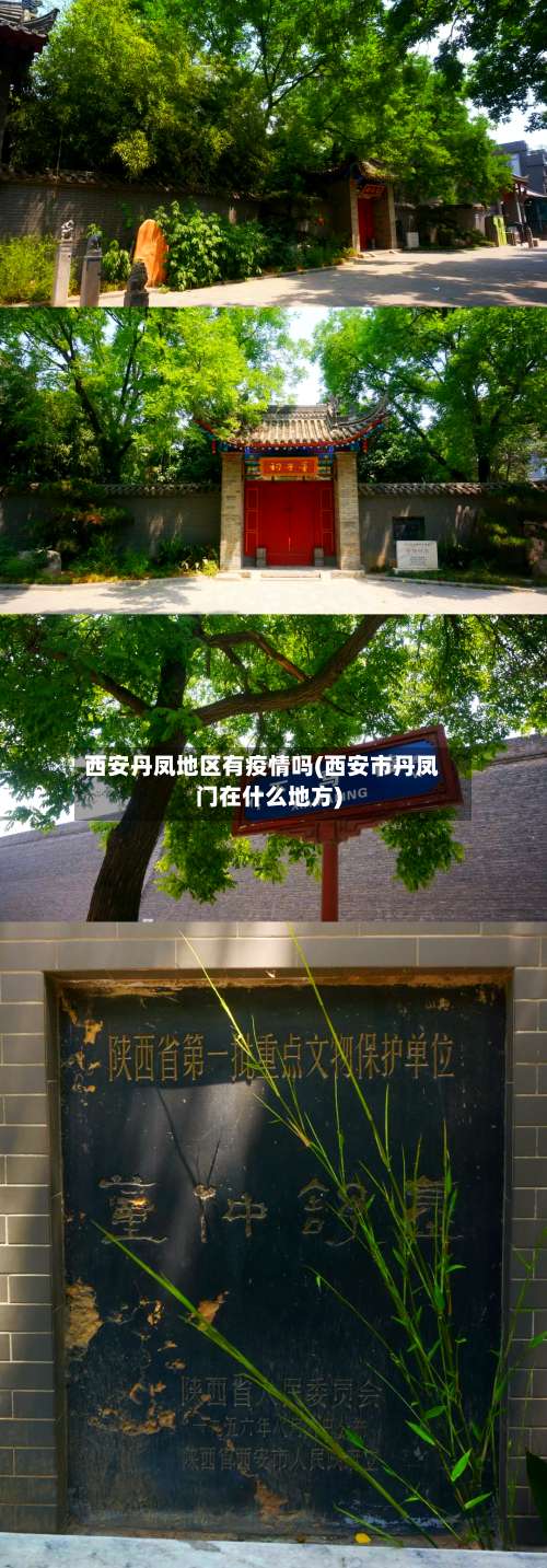 西安丹凤地区有疫情吗(西安市丹凤门在什么地方)-第1张图片
