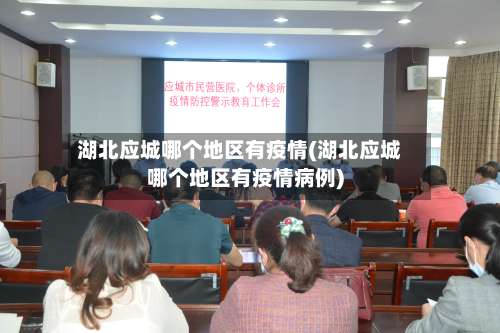 湖北应城哪个地区有疫情(湖北应城哪个地区有疫情病例)-第2张图片
