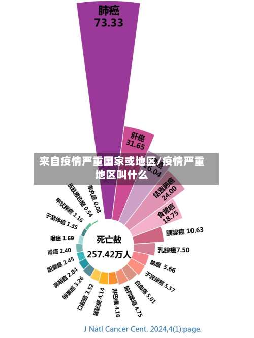 来自疫情严重国家或地区/疫情严重地区叫什么-第2张图片