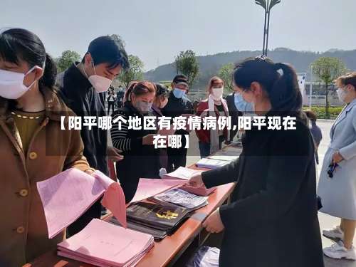 【阳平哪个地区有疫情病例,阳平现在在哪】-第2张图片