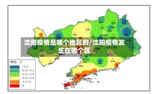 沈阳疫情是哪个地区的/沈阳疫情发生在哪个区-第2张图片